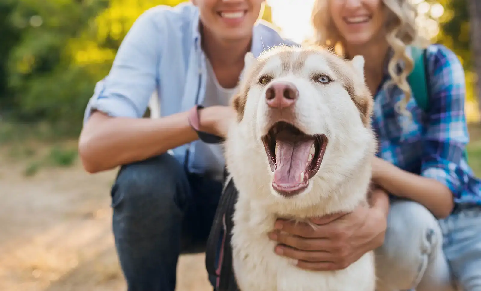 Welcome to Calidognia