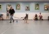 group dog training, group dog training classes, group dog training near me, group dog training classes near me, puppy classes, dog obedience classes