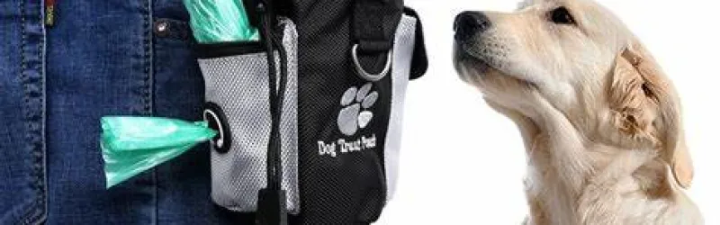 dog treat holder, dog treat bag, best dog treat pouch, best dog treat bag, dog training treat pouch, los angeles, california, 90049