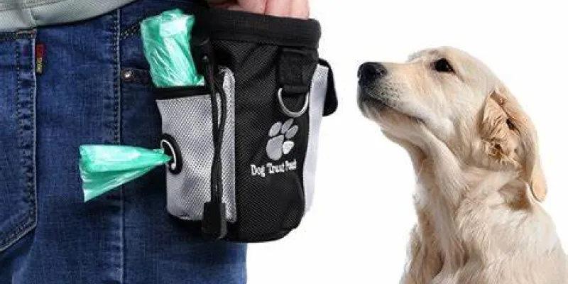 dog treat holder, dog treat bag, best dog treat pouch, best dog treat bag, dog training treat pouch, los angeles, california, 90049