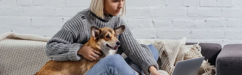 online dog training, online dog training courses, best online dog training programs, dog grooming training online, dog training lessons online, service dog training online