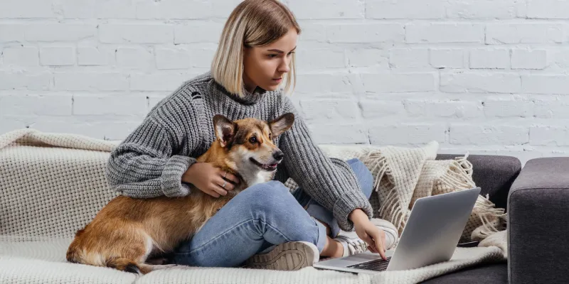 online dog training, online dog training courses, dog training online, online dog training classes, best online dog training, dog training certification online, dog training, train dogs online, dog training programs, dog training near me, dog training collars, dog training programs online, dog trainer