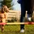 Top 10 Tips for Effective Dog Training