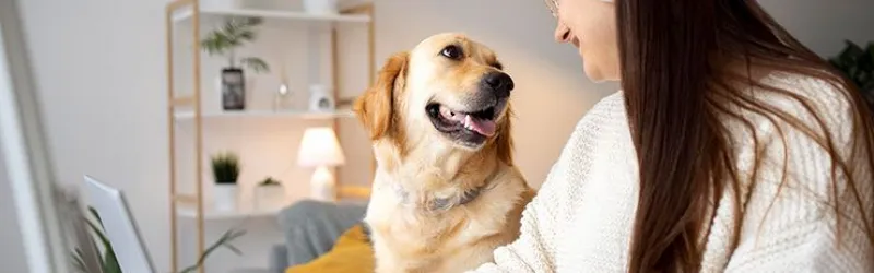 dog training, dog behaviourist, dog behavior training, behavioral training for dogs