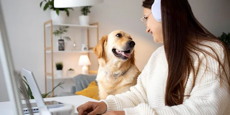 dog training, dog behaviourist, dog behavior training, behavioral training for dogs