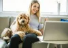 online dog training, online dog training courses, dog training online, online dog training classes, best online dog training, dog training certification online, dog training, train dogs online