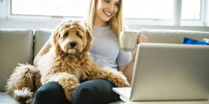 dog behavior training at home, dog behavior training, behavioral dog training, behavioral training for dogs, dog training and behavior