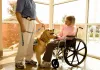 Therapy dogs are specially trained to bring comfort and relief to individuals in hospitals, schools, nursing homes, and other care facilities.